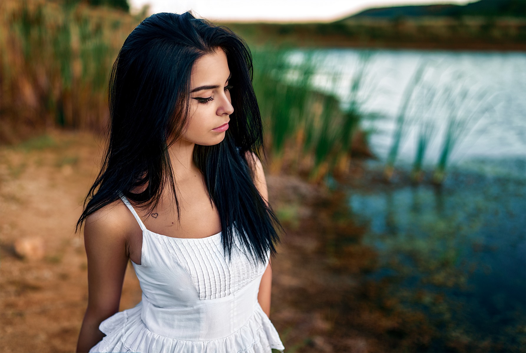 Vasi 15 2048px